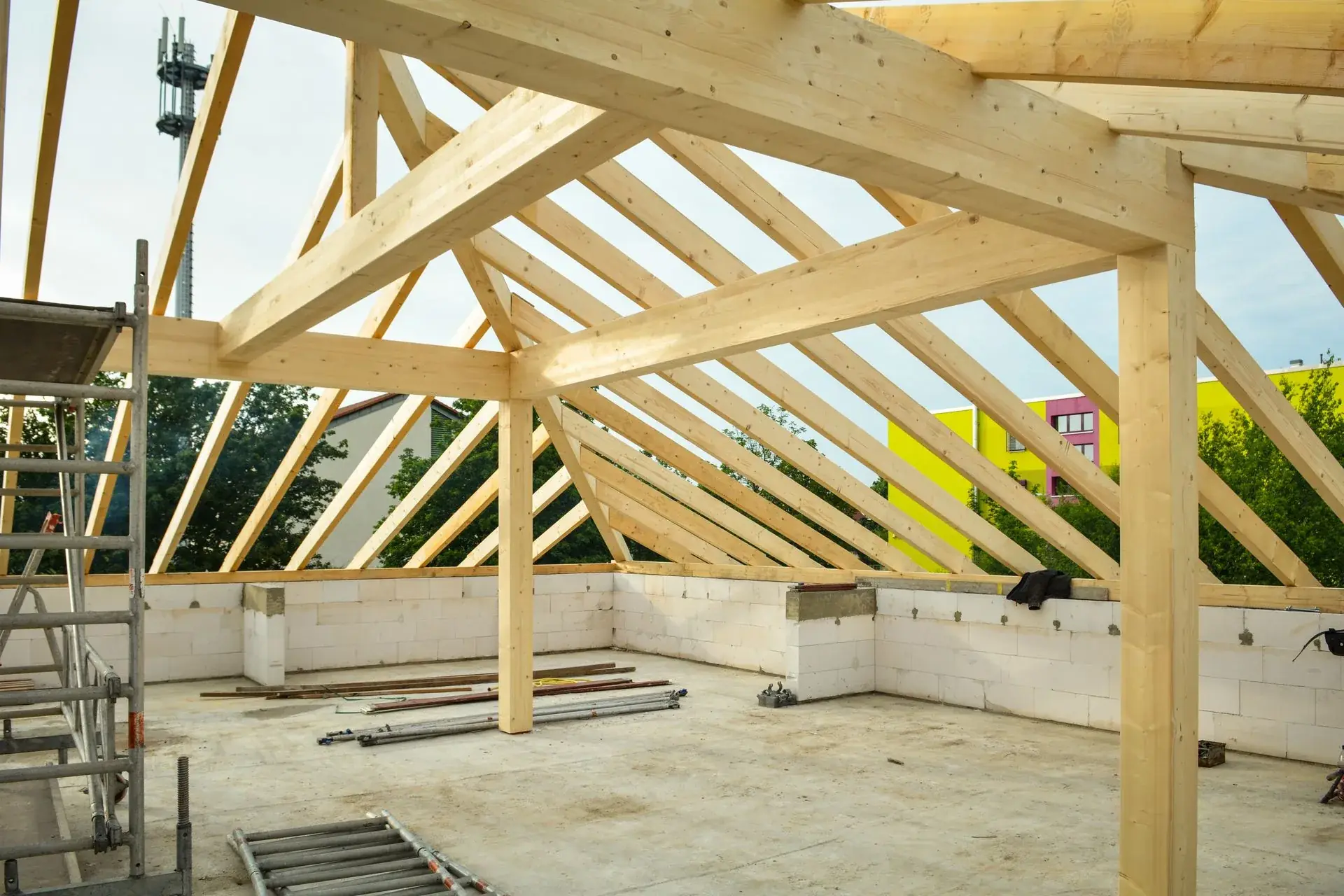 Timber roof framing against a clear sky on a TMJ Construction project